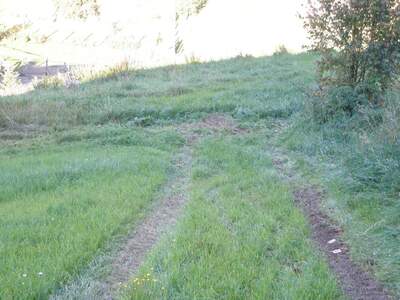 Gewerbeobjekt mieten in 4120 Neufelden (Bild 3)