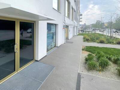 Gewerbeobjekt mieten in 1230 Wien (Bild 3)