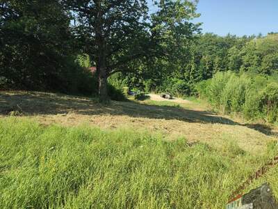 Grundstück kaufen in 2821 Lanzenkirchen (Bild 4)