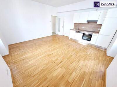 Wohnung kaufen in 1170 Wien (Bild 4)