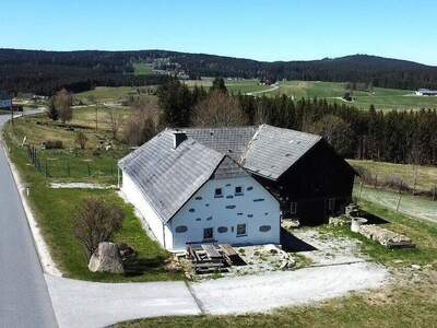 Haus kaufen in 4252 Liebenau