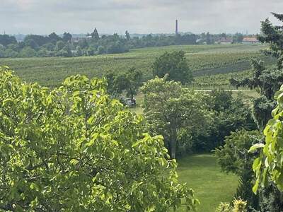 Grundstück kaufen in 2504 Sooß