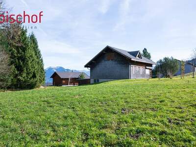 Grundstück kaufen in 6867 Schwarzenberg