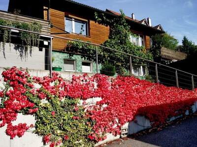 Haus kaufen in 4201 Gramastetten (Bild 1)
