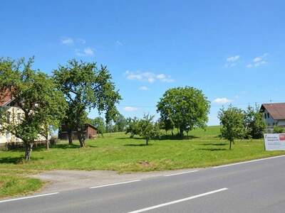 Grundstück kaufen in 4912 Neuhofen