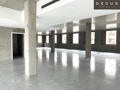 Gewerbeobjekt mieten in 1230 Wien