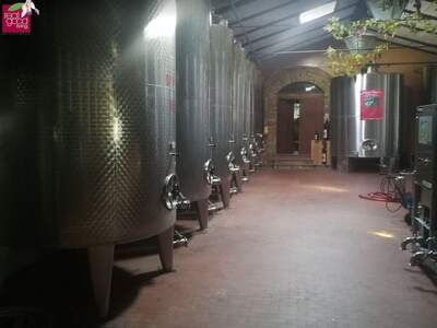 Gewerbeobjekt kaufen in 47032 Bertinoro (Bild 3)