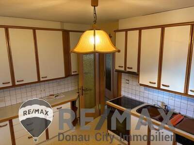 Einfamilienhaus kaufen in 3434 Katzelsdorf (Bild 3)