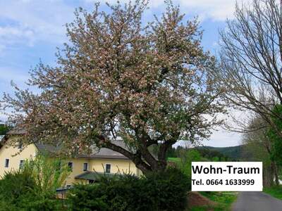 Haus provisionsfrei kaufen in 4190 Bad Leonfelden