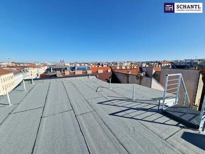 Terrassenwohnung kaufen in 1160 Wien (Bild 3)