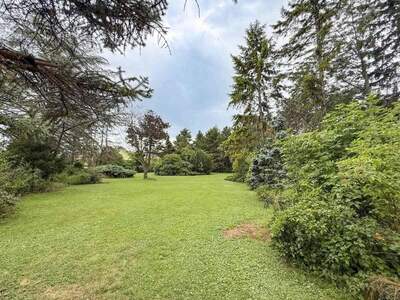 Grundstück kaufen in 2604 Theresienfeld