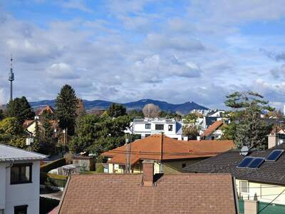 Wohnung provisionsfrei mieten in 1220 Wien