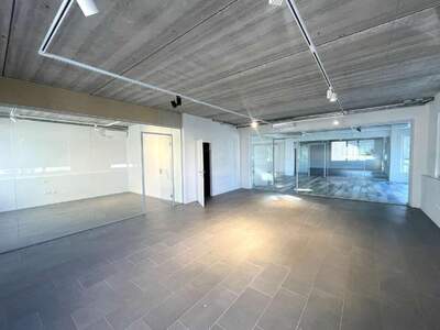 Gewerbeobjekt mieten in 1230 Wien (Bild 3)