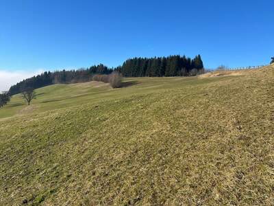 Gewerbeobjekt kaufen in 3353 Seitenstetten Dorf