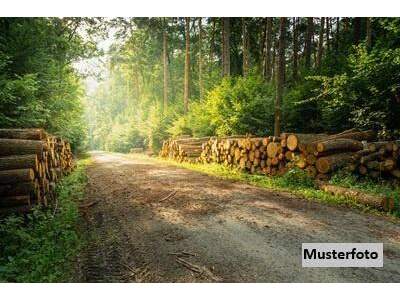 Gewerbeobjekt kaufen in 5723 Uttendorf