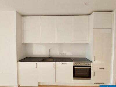 Terrassenwohnung mieten in 1100 Wien (Bild 3)