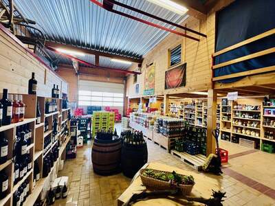 Gewerbeobjekt kaufen in 6890 Lustenau (Bild 4)