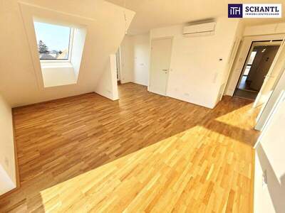 Terrassenwohnung kaufen in 1220 Wien (Bild 1)