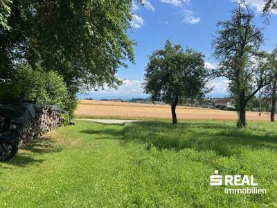 Grundstück kaufen in 4611 Buchkirchen (Bild 5)