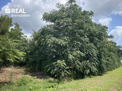 Grundstück kaufen in 2425 Nickelsdorf