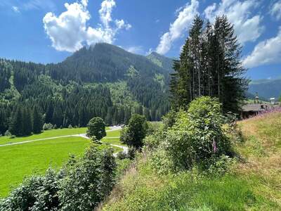 Haus kaufen in 5754 Saalbach