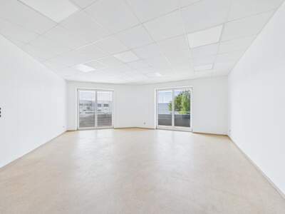 Büro / Praxis mieten in 4221 Steyregg (Bild 3)