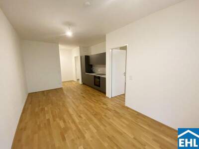 Terrassenwohnung mieten in 1110 Wien (Bild 3)