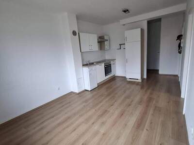 Wohnung provisionsfrei mieten in 7100 Neusiedl