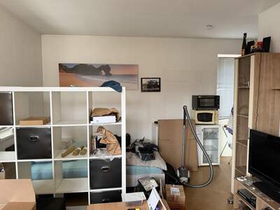 Wohnung mit Balkon mieten in 4050 Traun (Bild 4)