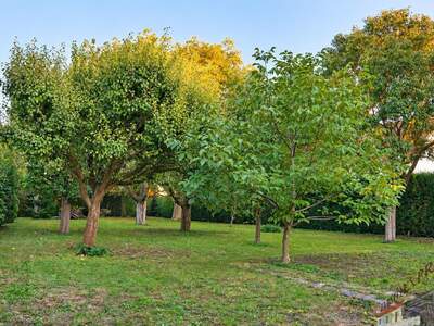 Grundstück kaufen in 2041 Wullersdorf (Bild 2)