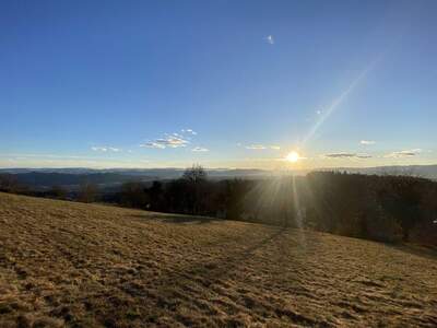 Grundstück kaufen in 8441 Höch (Bild 5)