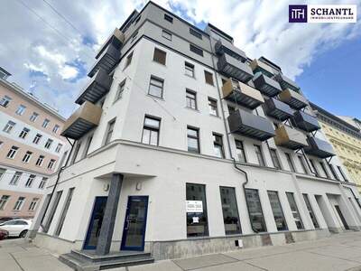 Terrassenwohnung kaufen in 1200 Wien (Bild 3)