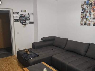 Wohnung provisionsfrei mieten in 4470 Enns