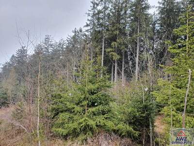 Grundstück kaufen in 3830 Waidhofen