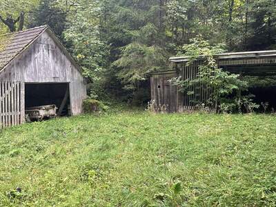 Gewerbeobjekt kaufen in 9135 Ebriach (Bild 5)