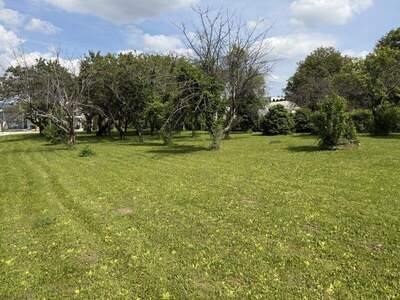 Haus kaufen in 7202 Bad Sauerbrunn (Bild 5)