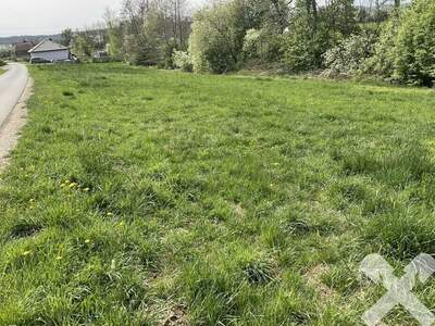 Grundstück kaufen in 8504 Preding (Bild 4)