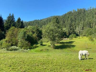 Grundstück kaufen in 8953 Donnersbachwald (Bild 5)