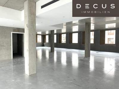 Büro / Praxis mieten in 1230 Wien (Bild 1)