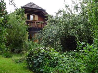 Einfamilienhaus kaufen in 3261 Wolfpassing (Bild 2)