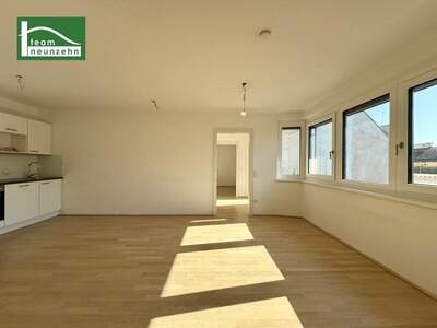 Terrassenwohnung mieten in 1060 Wien (Bild 2)