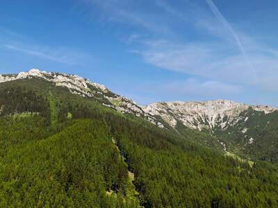 Gewerbeobjekt kaufen in 2651 Prein (Bild 1)