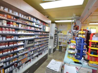 Gewerbeobjekt kaufen in 2560 Berndorf (Bild 5)