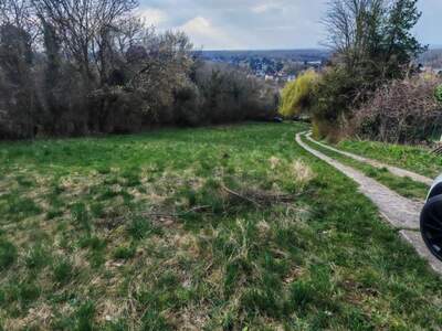Gewerbeobjekt kaufen in 3422 Altenberg