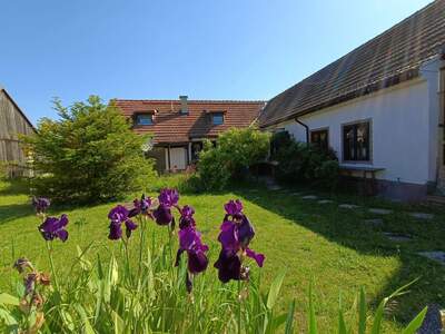 Haus kaufen in 2143 Ginzersdorf