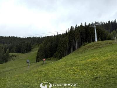 Gewerbeobjekt kaufen in 5753 Saalbach (Bild 4)