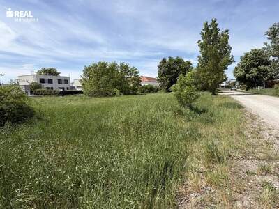 Grundstück kaufen in 7100 Neusiedl