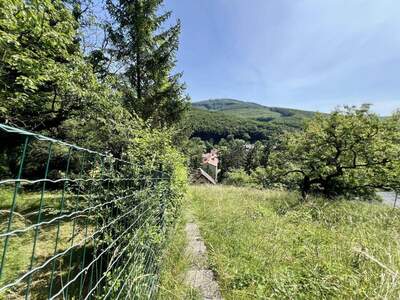 Haus kaufen in 3400 Weidling