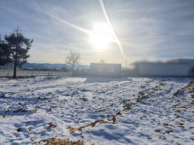 Haus mit Garten kaufen in 4400 Steyr (Bild 3)