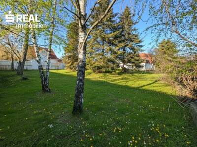 Grundstück kaufen in 7201 Neudörfl (Bild 4)